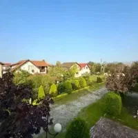 زمین-جنگلی-سنددار-نور-داخل-بافت-مسکونی
