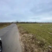 10هزار-متر-شالی-بر-اسفالت-منطقه-ازاد