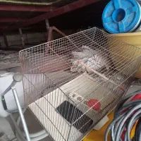 قفس پرنده|لوازم جانبی حیوانات|قم, باغ شریفی|دیوار