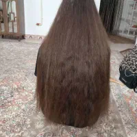 کات موهای شما