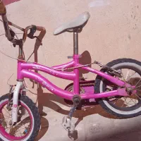 دوچرخه 12 صورتی