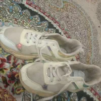 کفش|کیف، کفش، کمربند|باغ ملک, |دیوار