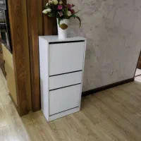 جا کفشی داشبوردی