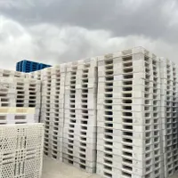 پالت پلاستیکی / پالت پتروشیمی / جک پالت|عمده‌فروشی|تهران, جی|دیوار