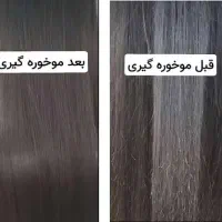 صافی واحیای موی آسیب دیده ۲۰درصد تخفیف|خدمات آرایشگری و زیبایی|خاش, |دیوار