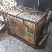 جوشکار سیار|خدمات پیشه و مهارت|ایرانشهر, |دیوار