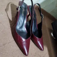 کفش|کیف، کفش، کمربند|تربت‌حیدریه, مظفریه|دیوار