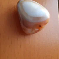 مهره دوشاو و رین