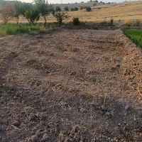 زمین-کشاورزی