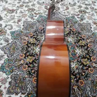 گیتار همراه با کاپو وپایه گیتار|گیتار، بیس، امپلیفایر|نکا, |دیوار