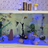 آکواریوم کامل