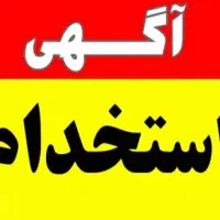 نیرو در رستوران