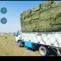پرس ینجه بیمی