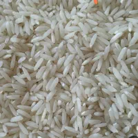 فروش برنج طارم هاشمی