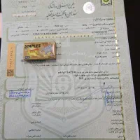 صفرکیلومترنمایندگی نیروموتورwr155یاماها|موتورسیکلت|تهران, ایوانک|دیوار