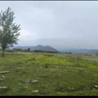 زمین-باغات