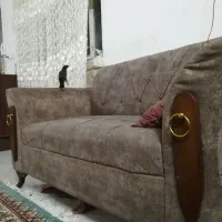 مینا سخنگو دستی افغان خوش صدا|پرنده|مشهد, قائم|دیوار