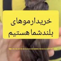 خریدارموی بانوان با قیمت شگفت انگیز