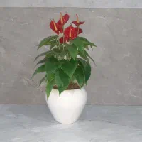 گلدان تزئینی مصنوعی