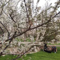 باغ منزل فروشی در باغستان علیا