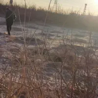 فروش زمین 250متر دو نبش سند تک برگ|فروش زمین و ملک کلنگی|فشاپویه, |دیوار