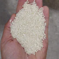 نیمدانه طارم زمین شخصی تمیز شده معطر