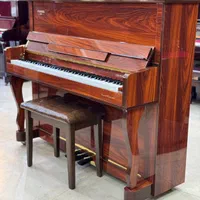 Piano New Collection 2024|پیانو، کیبورد، آکاردئون|تهران, تجریش|دیوار