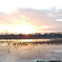 فروش فوری سیم کارت کد هفت