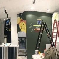 نقاشی تخصصی دیوار اجرای تمیز در شمیران و لواسان