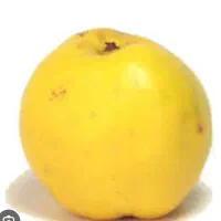به زرد و ارگانیک