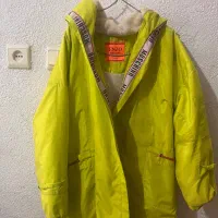 پالتو داخل خزدار