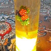 شب خواب