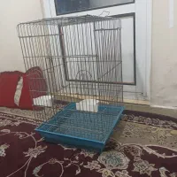 قفس طوطی،عروس هلندی،پرنده