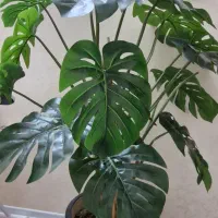 گلدان مصنوعی وارداتی