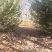 فروش-500-متر-باغ-سرسبز