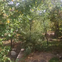 باغ 186متری با گاز و برق و آب در شهر زیبای اسکو|فروش خانه و ویلا|اسکو, |دیوار