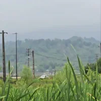 700-متر-زمین-تجاری-مسکونی