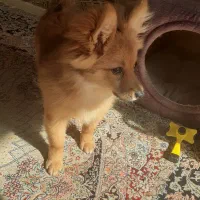 سرگرمی‌ و‌ فراغت