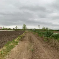 زمین شالیزاری/1660 متری/سنددار