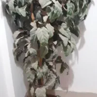 درخت مصنوعی