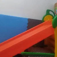 سر سره موزی نو و وچهل متر دیوار پوش جنگلی