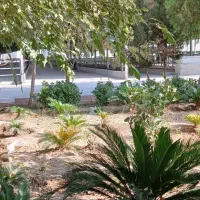 استخدام نیروی کار دامداری صنعتی