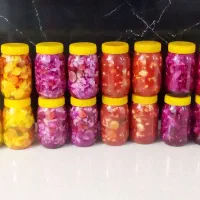 ترشی سالاد فصل فقط با آب گوجه و شوری|خوردنی و آشامیدنی|بیرجند, |دیوار