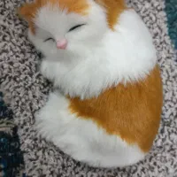 عروسک|اسباب‌بازی بچه|تهران, شهرک ابوذر|دیوار