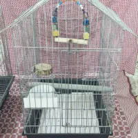 قفس پرنده