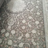 یک عدد فرش گل برجسته 1200شانه 9متری|فرش|تربت‌حیدریه, جانبازان|دیوار