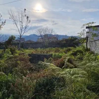 فروش زمین ۲۷۸ متر کاربری مسکونی بر جاده|فروش زمین و ملک کلنگی|چابکسر, |دیوار