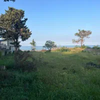 فروش ۲۵۰۰متر زمین ساحلی(جاده به ساحل)|فروش زمین و ملک کلنگی|نشتارود, |دیوار