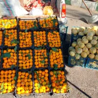 حراج نارنگی عسلی گلابی شیرین