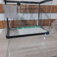 اکواریوم جمعو جور